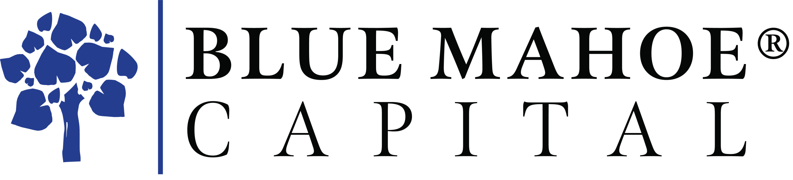 Blue Mahoe Capital Inc.